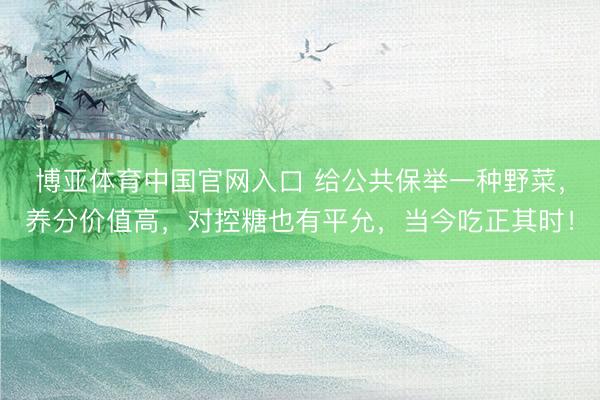 博亚体育中国官网入口 给公共保举一种野菜，养分价值高，对控糖也有平允，当今吃正其时！
