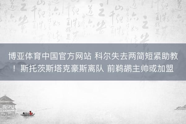 博亚体育中国官方网站 科尔失去两简短紧助教！斯托茨斯塔克豪斯离队 前鹈鹕主帅或加盟