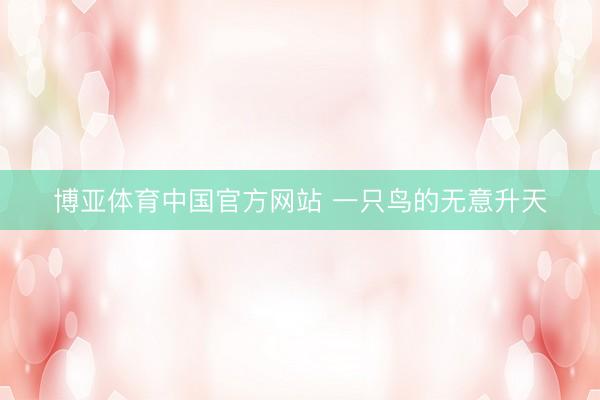 博亚体育中国官方网站 一只鸟的无意升天