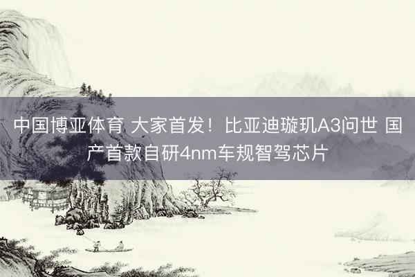 中国博亚体育 大家首发！比亚迪璇玑A3问世 国产首款自研4nm车规智驾芯片