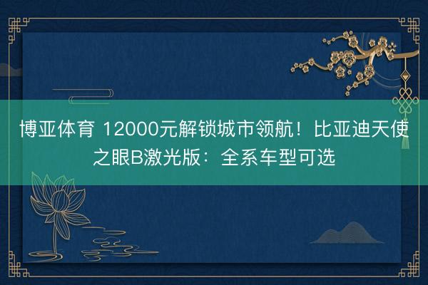 博亚体育 12000元解锁城市领航！比亚迪天使之眼B激光版：全系车型可选