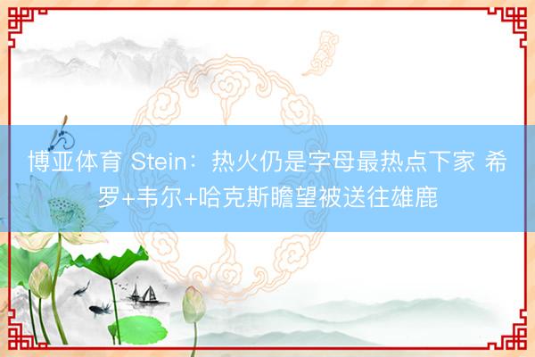 博亚体育 Stein：热火仍是字母最热点下家 希罗+韦尔+哈克斯瞻望被送往雄鹿